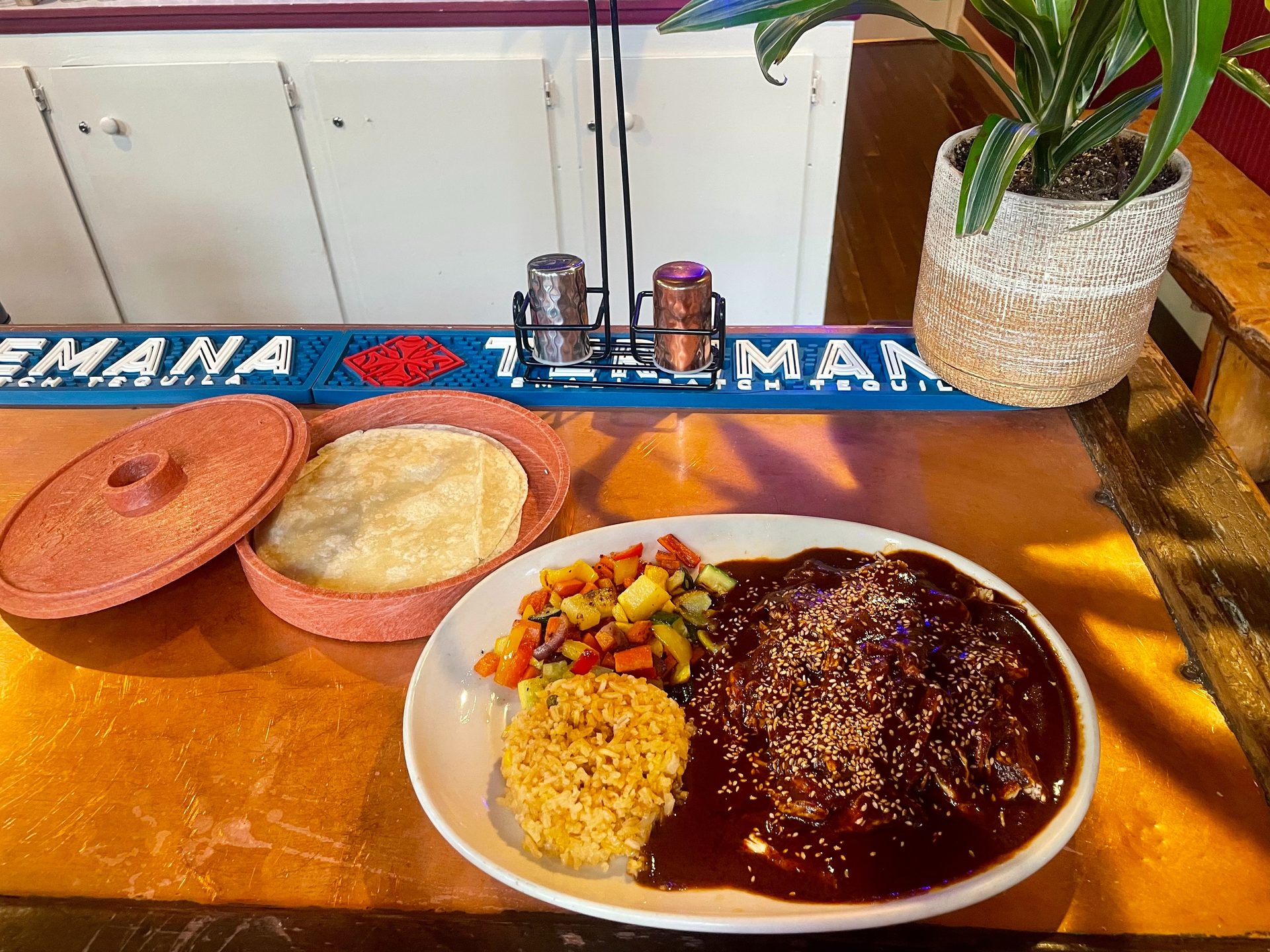 The Mole Micha-Poblano